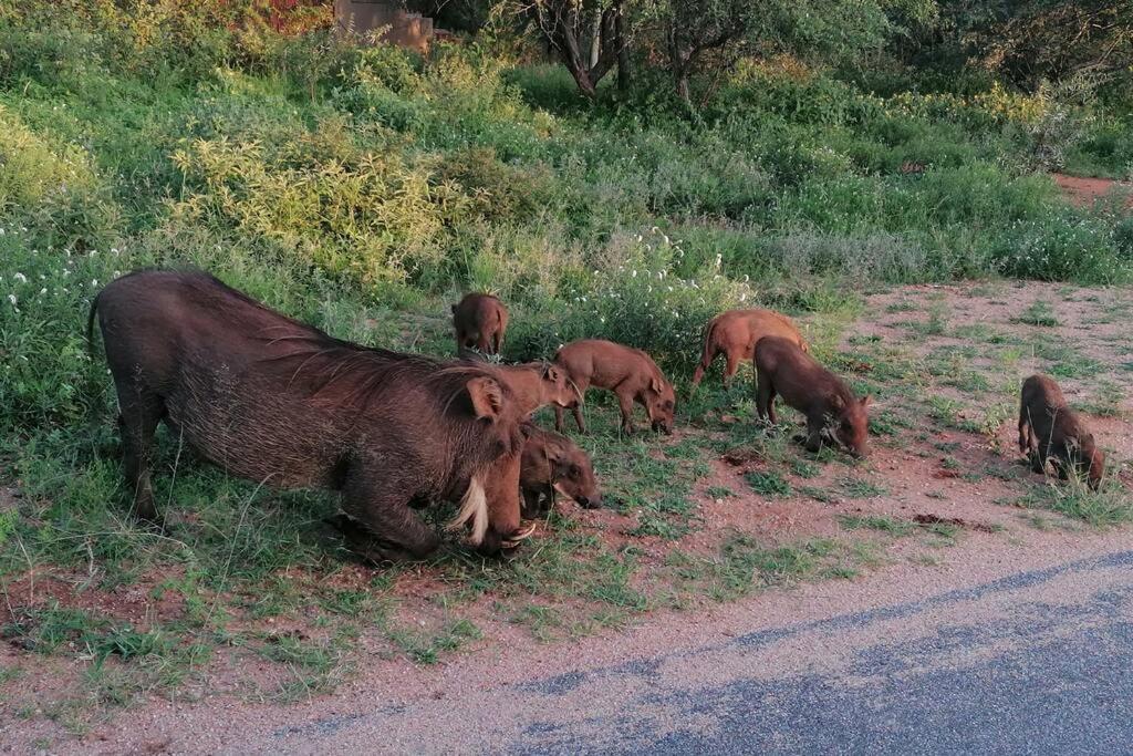 Villa Amukela Kaya Hoedspruit Esterno foto