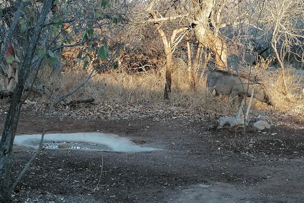 Villa Amukela Kaya Hoedspruit Esterno foto